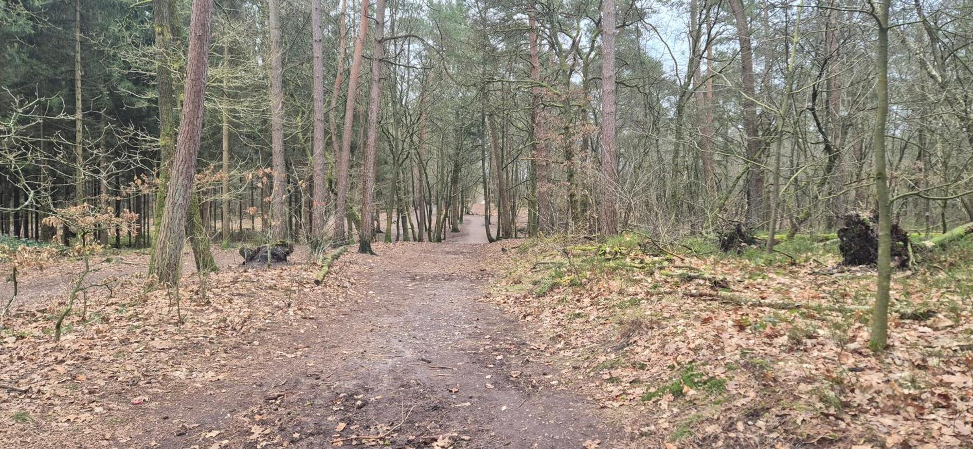 Het Veluwse Boshuisje Knus Chalet Met Omheinde Tuin Op De Veluwe Hoenderloo Exterior photo